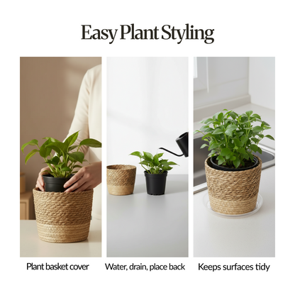 Easy plant styling guide (3 panels): placing a plant pot into the seagrass basket cover, watering/draining then placing back, and the basket keeping surfaces tidy on a kitchen counter.