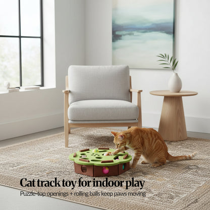 Lifestyle play moment: Ginger cat playing with green-and-brown ball track toy on a rug in a bright living room.