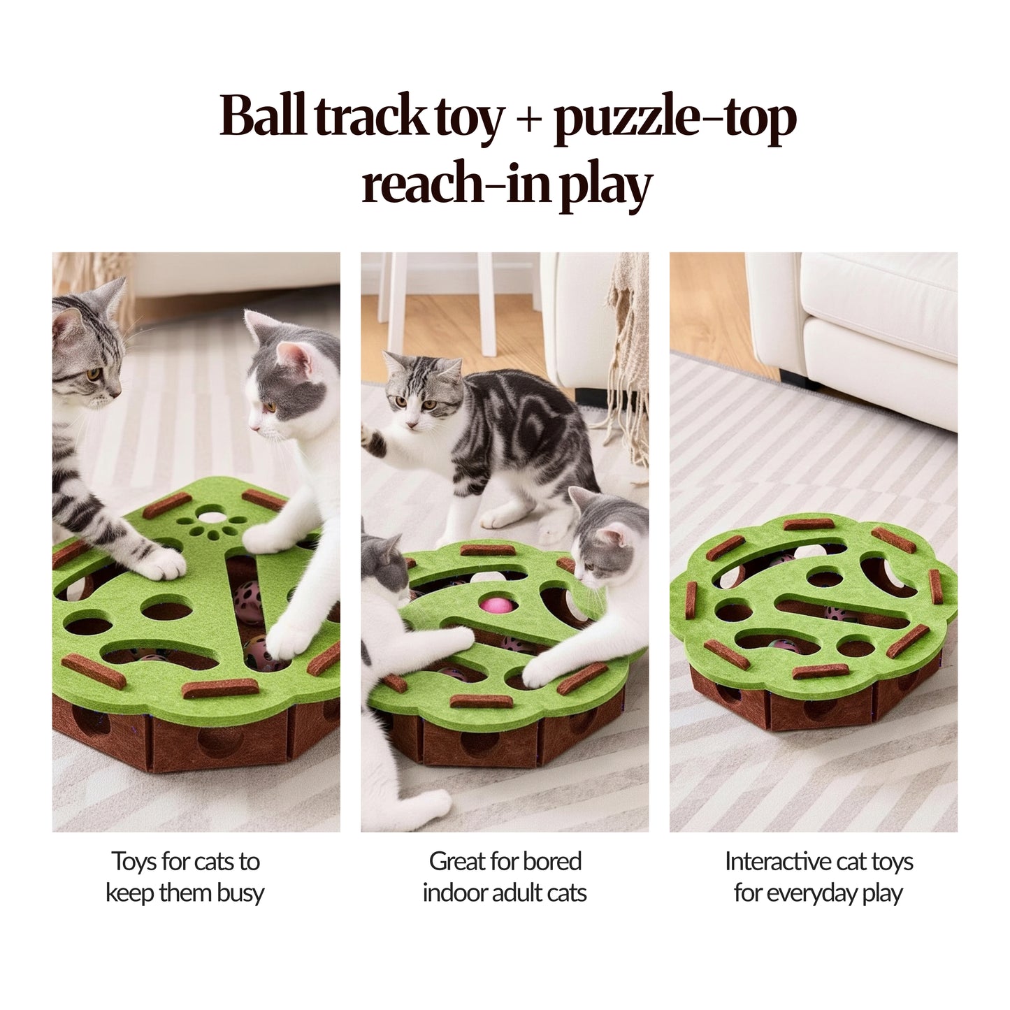 Boredom panel (3-up): Three photos of cats playing with green-and-brown round puzzle-top ball track toy; indoor enrichment play.