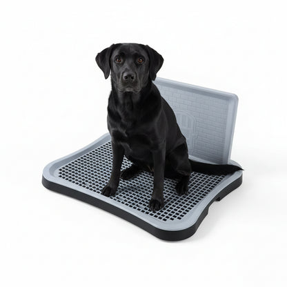 Black potty tray product hero on a white background with a black dog sitting on the raised grid and splash-guard wall behind.