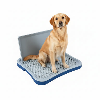 Blue potty tray product hero on a white background with a golden retriever sitting on the raised grid and splash-guard wall behind.