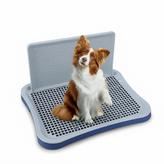 Indoor dog potty tray with navy blue base and grey raised grid, shown on a white background with a brown-and-white dog sitting on the tray in front of the splash-guard wall.