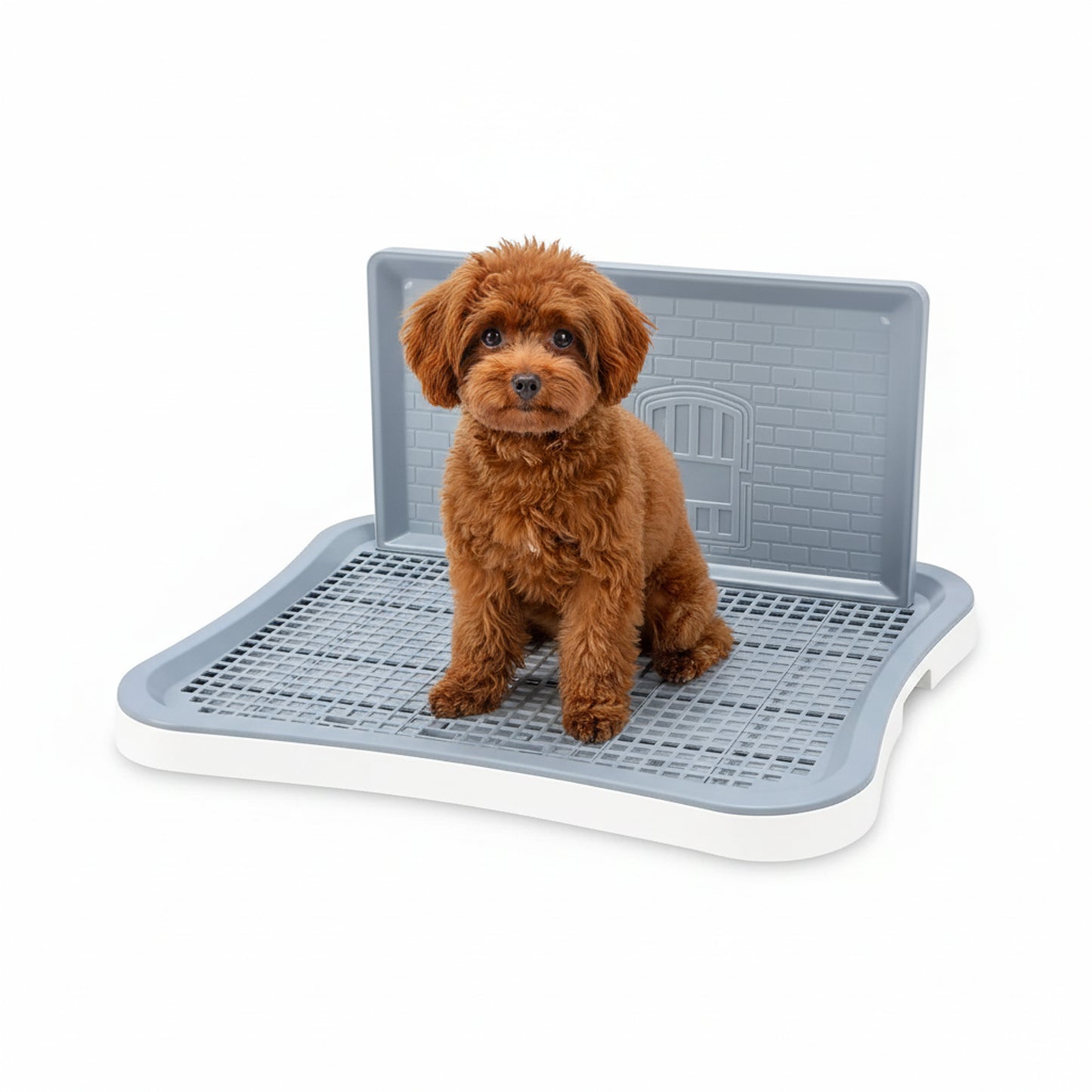White potty tray product hero on a white background with a small brown dog sitting on the raised grid and splash-guard wall behind.