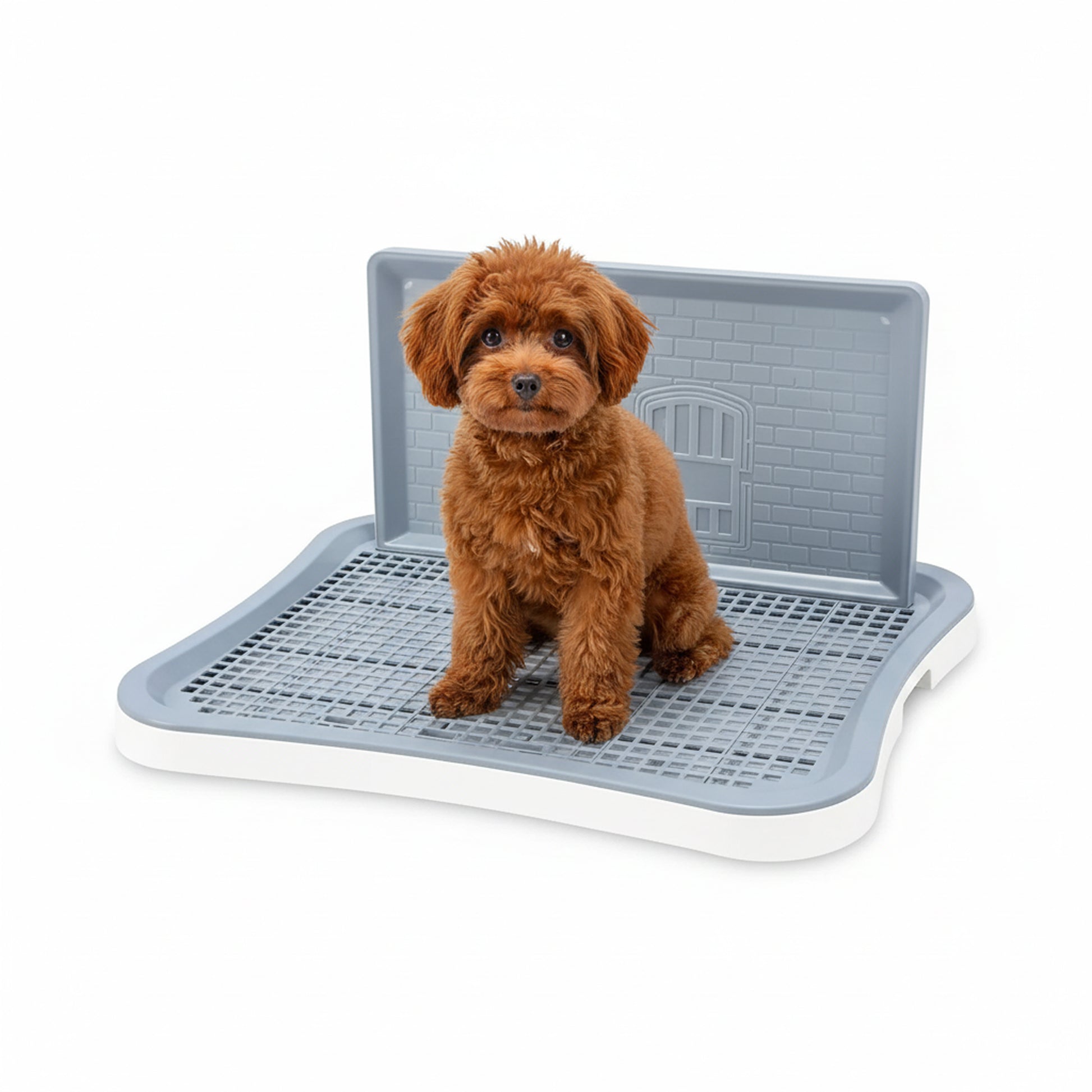 White potty tray product hero on a white background with a small brown dog sitting on the raised grid and splash-guard wall behind.